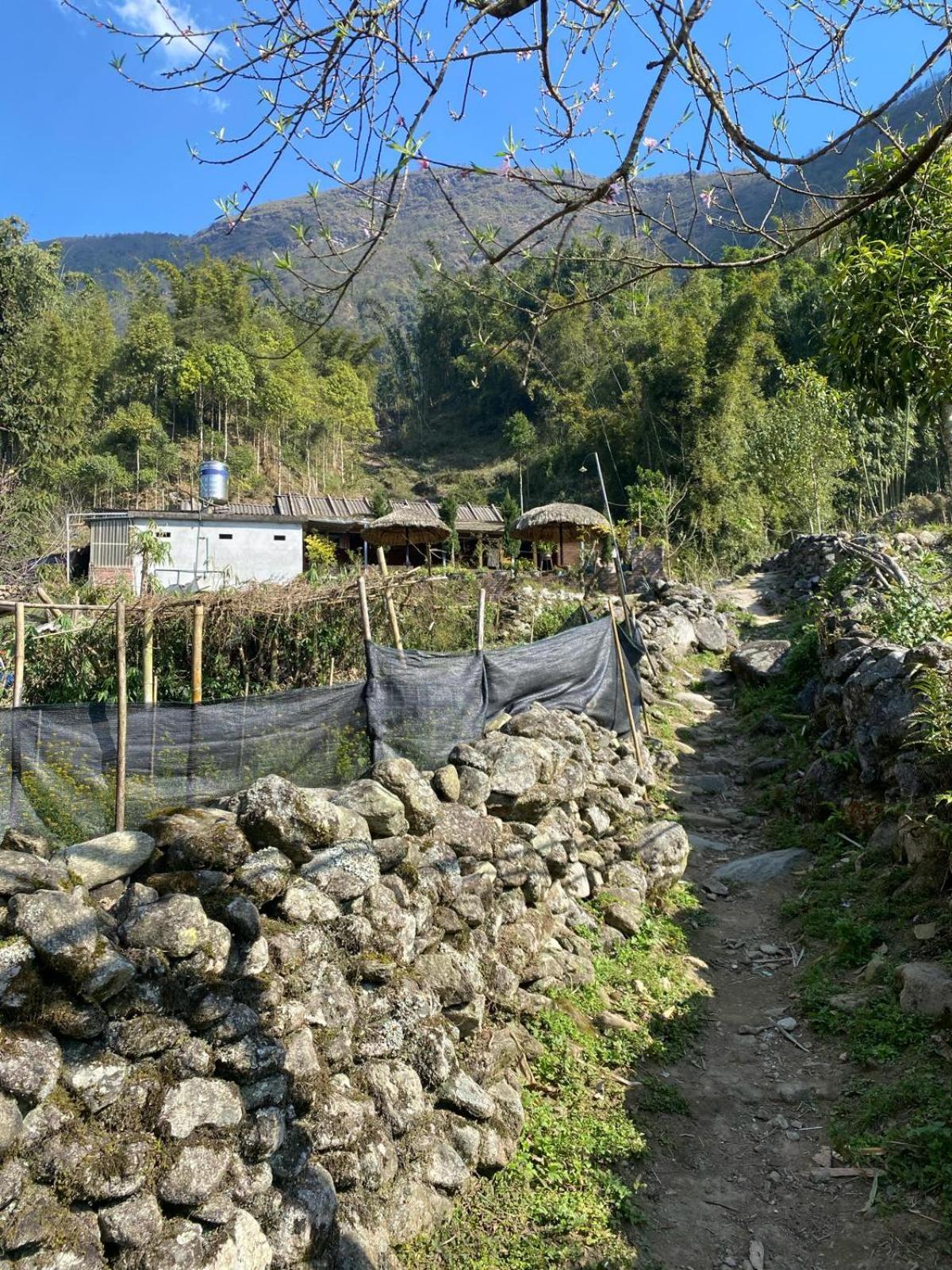Sue Pa Family Trekking Homestay Sa Pa Eksteriør bilde
