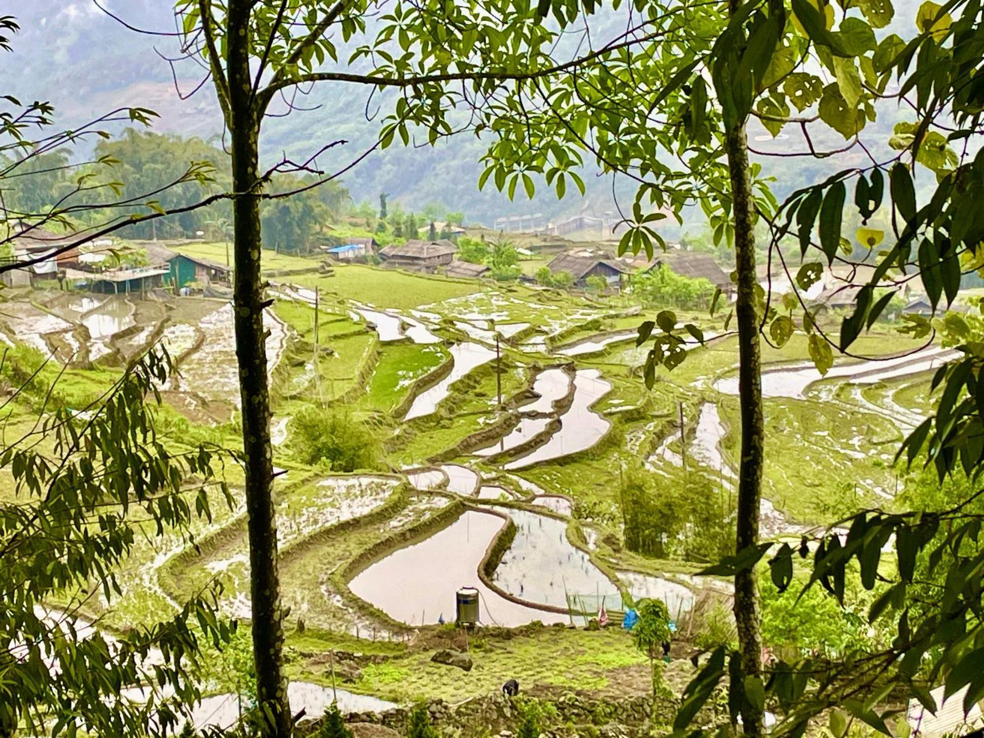 Sue Pa Family Trekking Homestay Sa Pa Eksteriør bilde